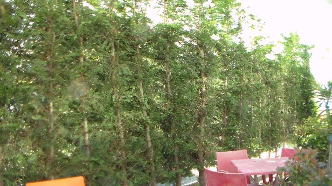 Shkoder Hotel Temali Eksteriør billede